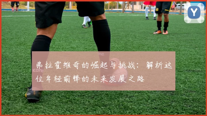 弗拉霍维奇的崛起与挑战：解析这位年轻前锋的未来发展之路